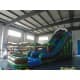 Water Slide Tropical Surf