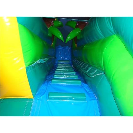 Tropical Water Slide