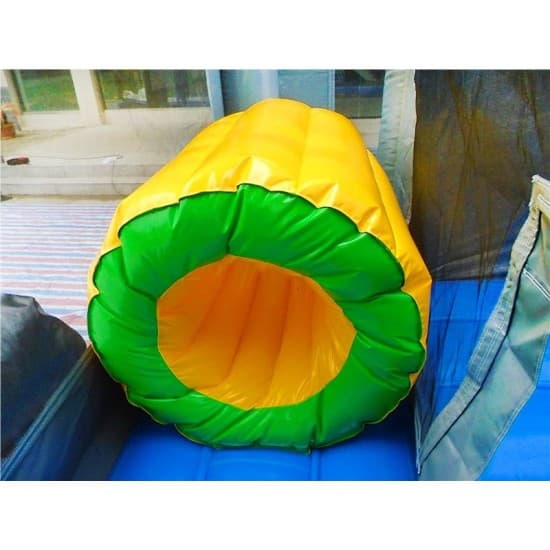 Dragon Bounce House