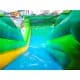 Inflatable Tropical Theme Commercial Slide