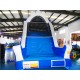 Inflatable 14'Water Slide