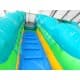 Foot Tropical Water Slide