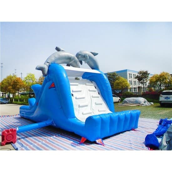 Inflatable Dolphin Slide