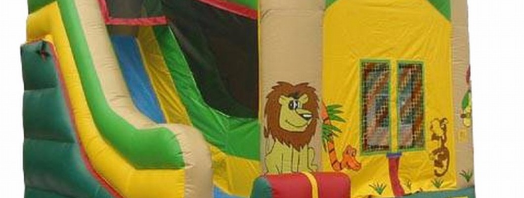 What Are the Cost Differences Between Inflatable Castle Rentals and Purchases?