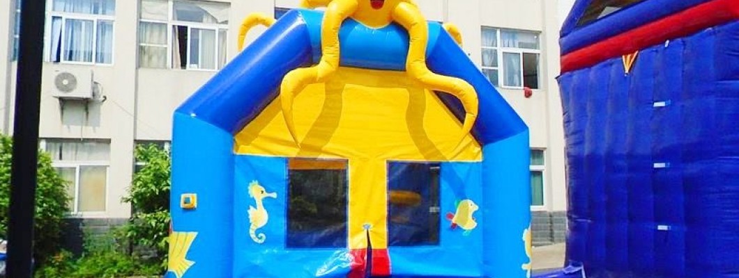 What Should You Do When You Find Mold on Your Bounce House?