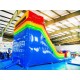 Inflatables Double Lane Slide