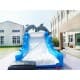 Inflatable Dolphin Slide