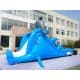 Inflatable Dolphin Slide