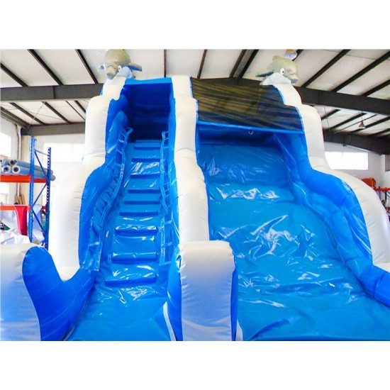 Inflatable Dolphin Water Slide