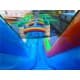 Inflatable Dual Lane Tropical Water Slide