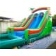 Inflatable Dual Lane Tropical Water Slide