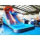 Inflatable Mutliplay Shark Slide