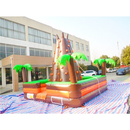 Inflatable Rock Climbing Wall