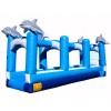 Adult Dolphin Slip N Slide
