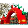 Hire Inflatable Arch