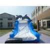 Inflatable Dolphin Slide