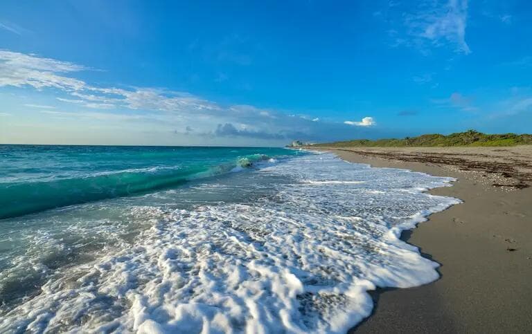 Aerial view of a beach on Hutchinson Island, Florida