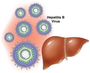 Как не заразиться гепатитом