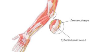 Срединная локтевая вена - Median cubital vein