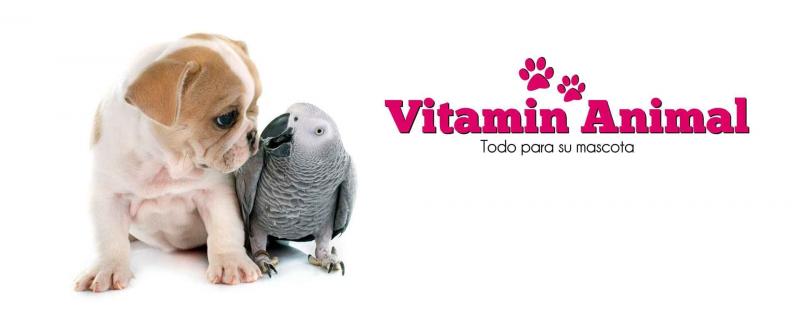 Apertura de la Tienda Online de Vitamin Animal