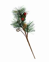     (H-25) DN-49562        12       