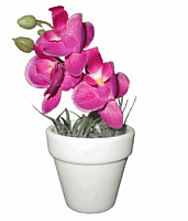 Орхидея в кашпо (Н-14см)                             HR-26071 с доставкой по России от фирмы Изумруд