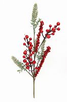 -  (H-47) DN-51127 ( 12)       