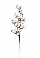 -  (L-46) DN-55476 ( 24)       