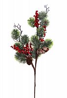 -   (L-65) DN-58810             ( 24)       