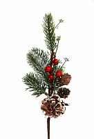 -   (L-35) DN-58818               ( 48)       