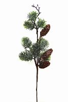 -   (L-55) DN-58813             ( 48)       