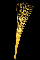 Маргаритки пластик на бамбуковом стебле (90см) (50шт/уп), желтые+оранжевые PV3058 с доставкой по России от фирмы Изумруд