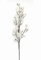 -  (L-72) DN-59188 ( 12)       