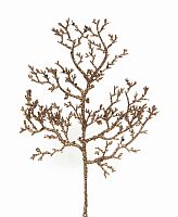 Ветка-декор новогодний цв.шампань (L-25см) DN-58800                (упаковка 120шт) с доставкой по России от фирмы Изумруд