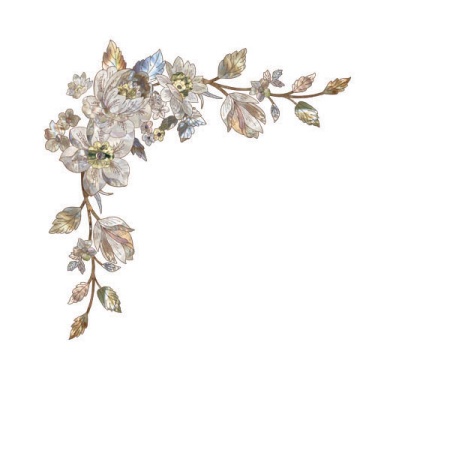 Переводная наклейка JL 488.2A для декорирования мебели.