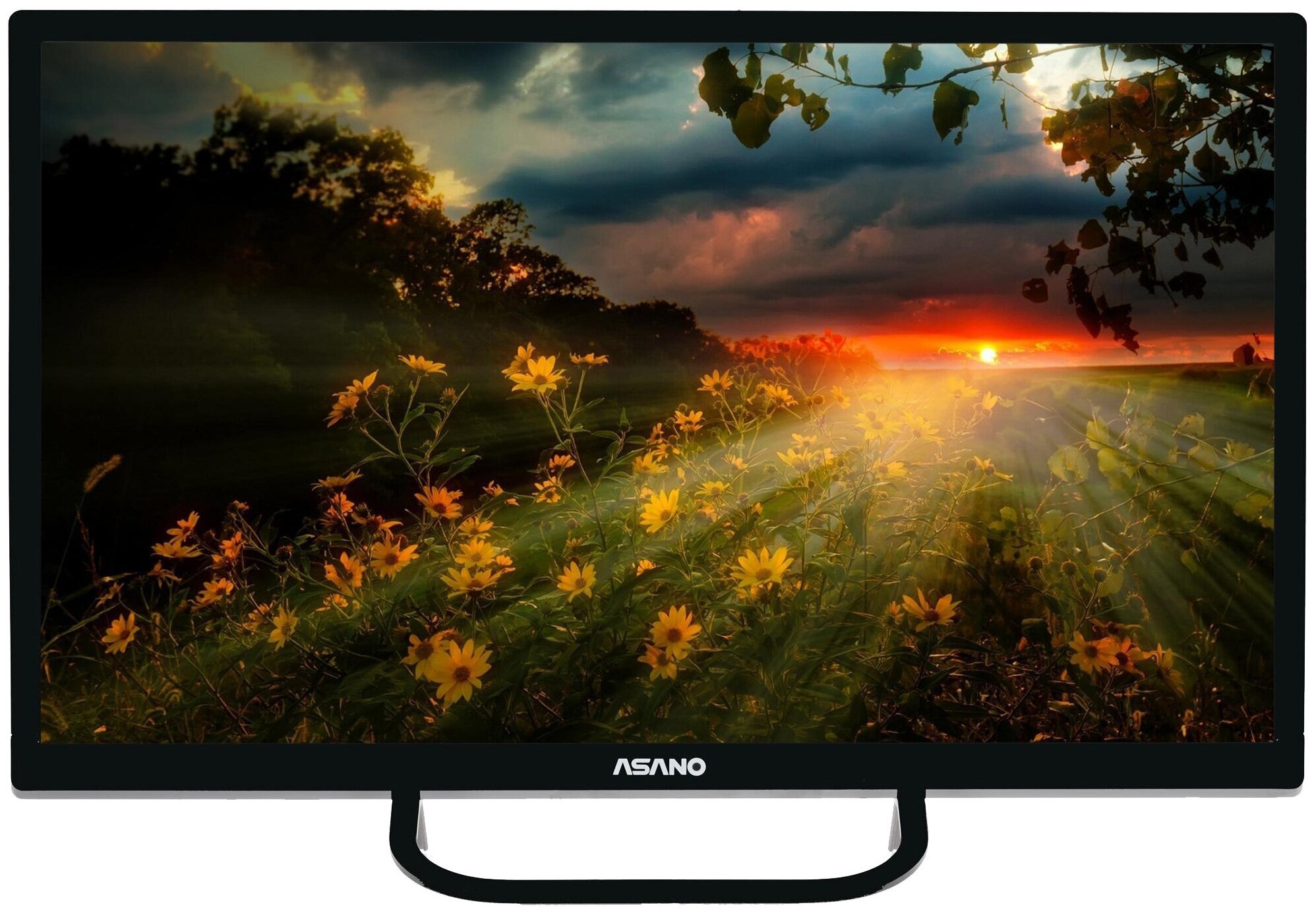 Купить Телевизор Asano 24LH1110T в Москве