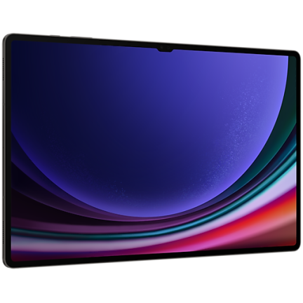 Samsung Galaxy Tab S9 Ultra LTE 16/1024Gb Graphite