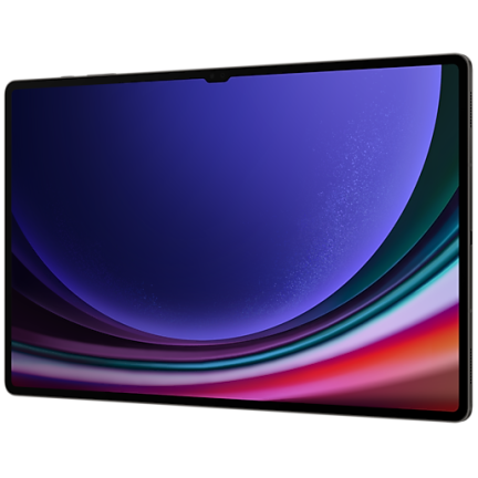 Samsung Galaxy Tab S9 Ultra LTE 16/1024Gb Graphite