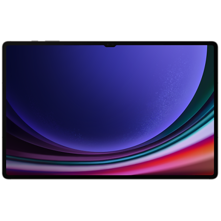 Samsung Galaxy Tab S9 Ultra 12/512GB Graphite