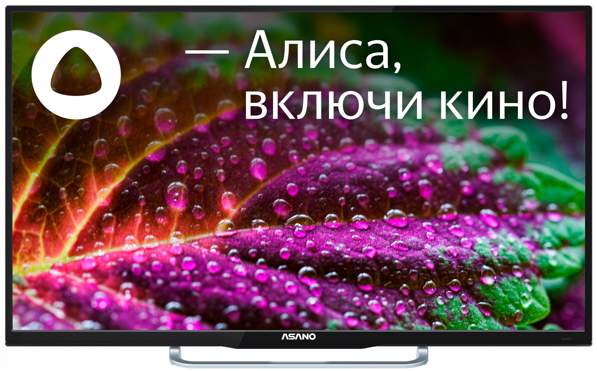 Купить Телевизор Asano 43LU8130S в Евпатории