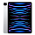 iPad Pro 12.9 2022 Б/У
