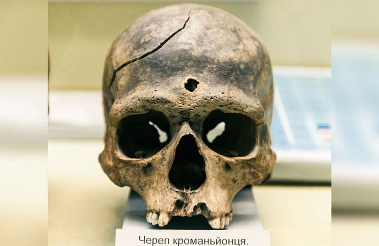 Антропологи расследовали самый древний случай убийства человека в Европе