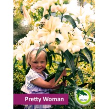 Lilia drzewiasta - Pretty Woman