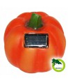 Lampa solarna dynia (1 Led)