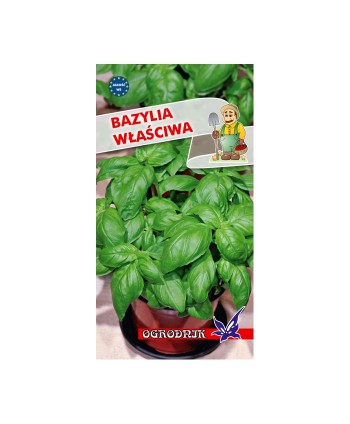 Bazylia zielona 1g