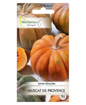 Dynia "Muscat De Provense" 2g