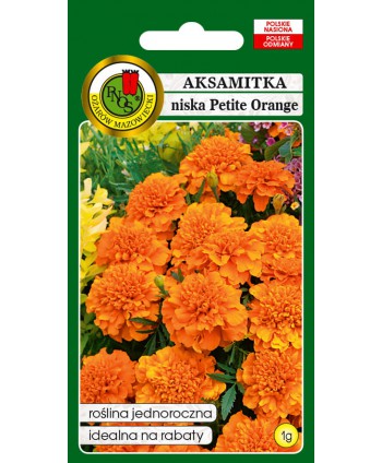 Aksamitka Petite Orange 1g