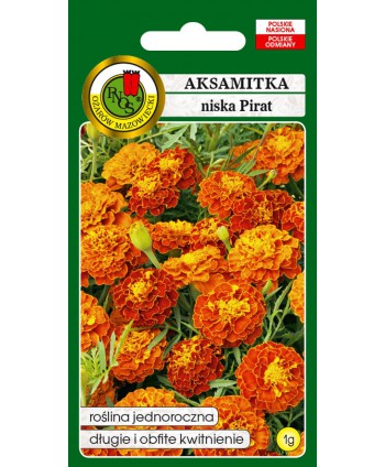 Aksamitka Pirat 1g
