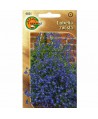 Lobelia zwisła Saphir 0,2g