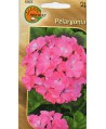 Pelargonia F2 różowa